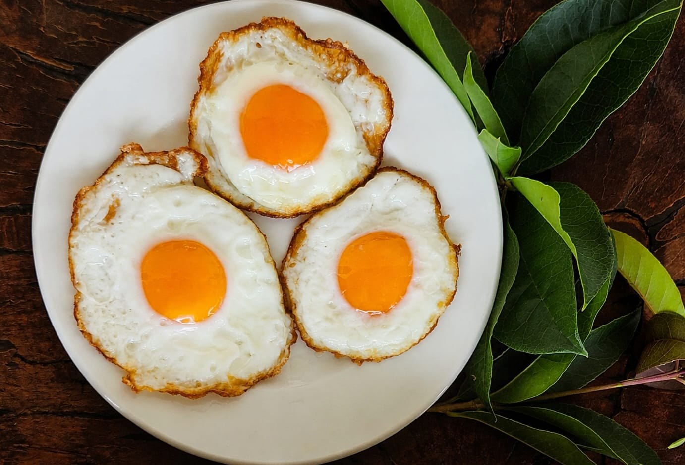 Đĩa trứng ốp la, lòng đỏ cam
